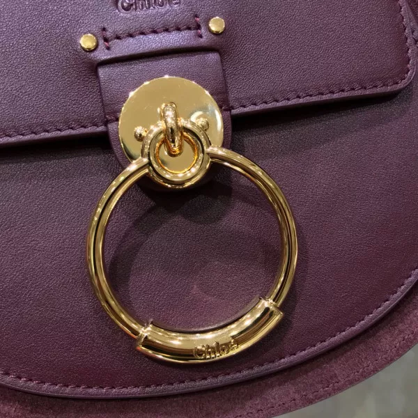 Aaa replica ru CHLOÉ SMALL TESS BAG 0118