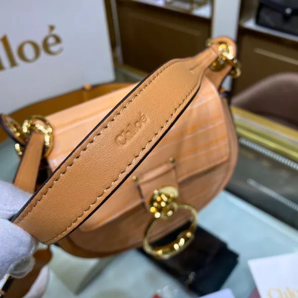 Aaa replica ru CHLOÉ SMALL TESS BAG 0118