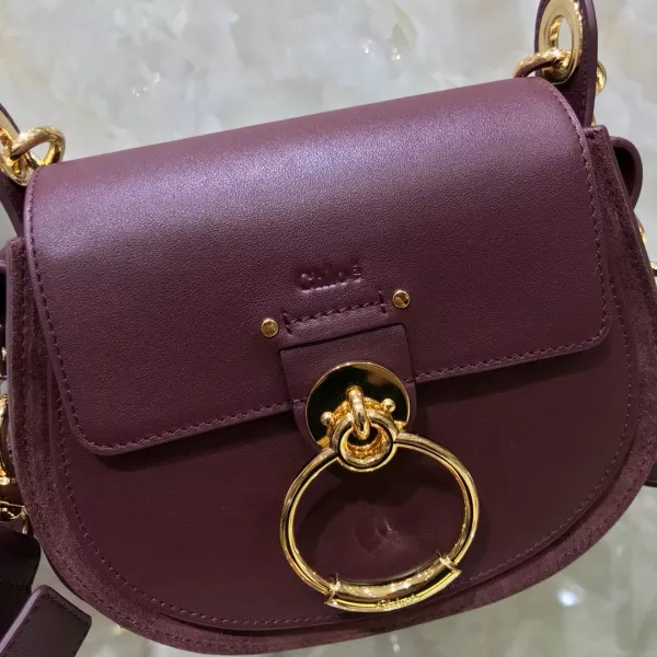 Aaa replica ru CHLOÉ SMALL TESS BAG 0118