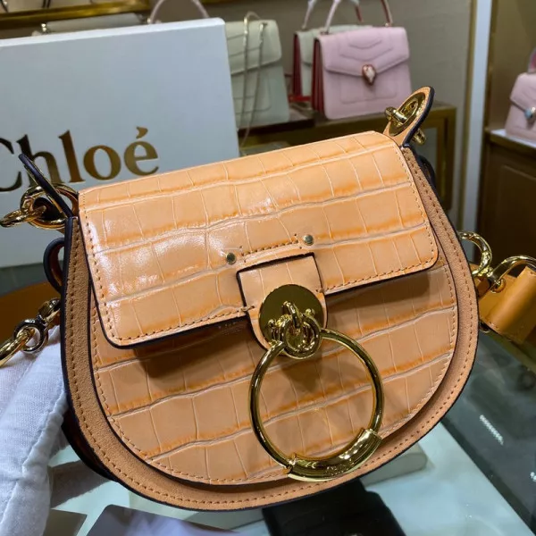 Aaa replica ru CHLOÉ SMALL TESS BAG 0118