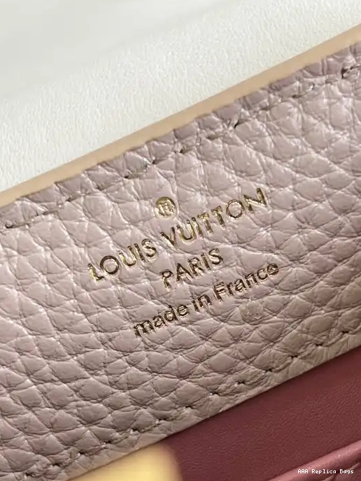 Aaa replica bags CAPUCINES MINI LOUIS VUITTON 0225