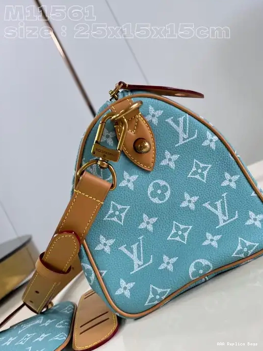 Aaa replica bags SPEEDY Louis 25 Vuitton 0217