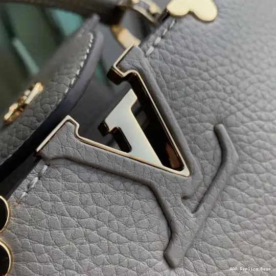 Aaa replica bags CAPUCINES VUITTON MINI LOUIS 0212