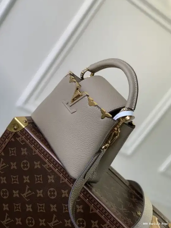 Aaa replica bags CAPUCINES VUITTON MINI LOUIS 0212