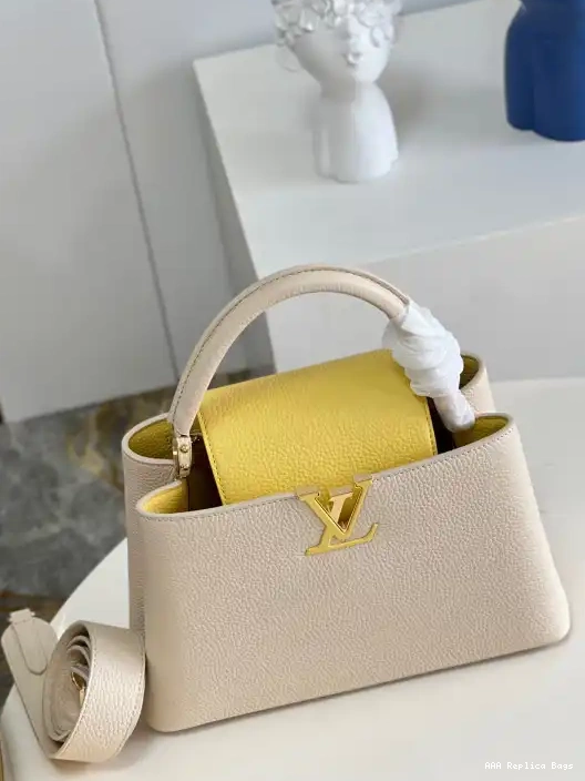 Aaa replica bags CAPUCINES VUITTON MM LOUIS 0225