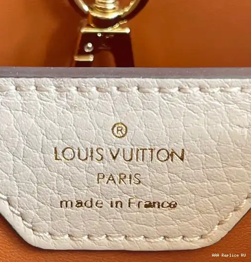 Aaa replica bags BB VUITTON CAPUCINES LOUIS 0210