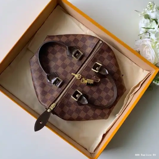 Aaa replica bags Louis Vuitton SPEEDY 25 0221