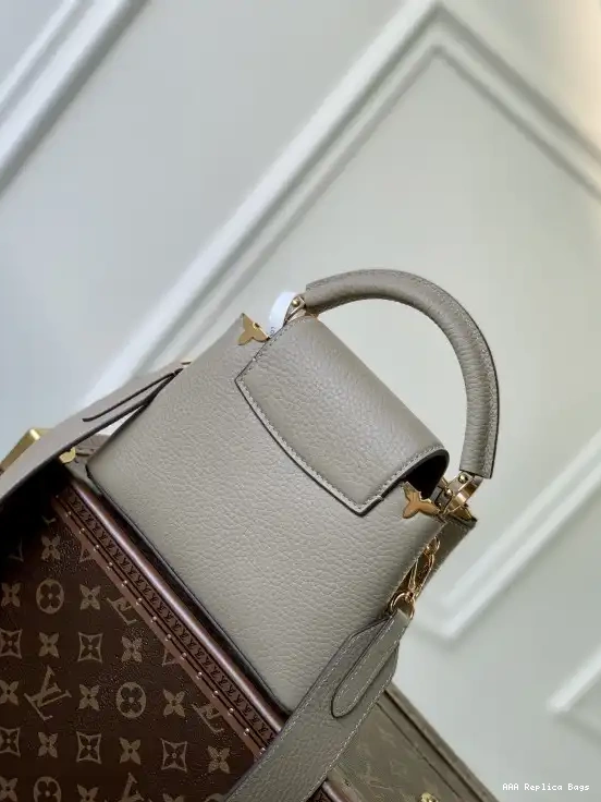 Aaa replica bags CAPUCINES VUITTON MINI LOUIS 0212