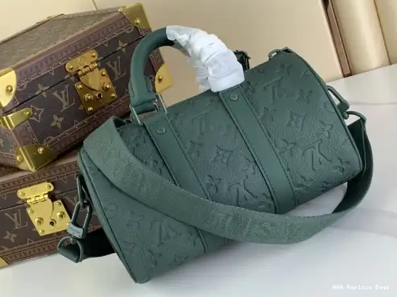 Aaa replica bags Louis SPEEDY Vuitton 25 0219