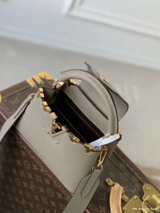 Aaa replica bags CAPUCINES VUITTON MINI LOUIS 0212