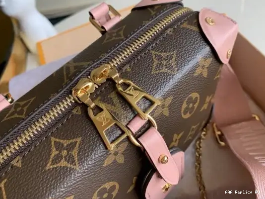 Aaa replica bags MALLE VUITTON SOUPLE PETITE LOUIS 0210