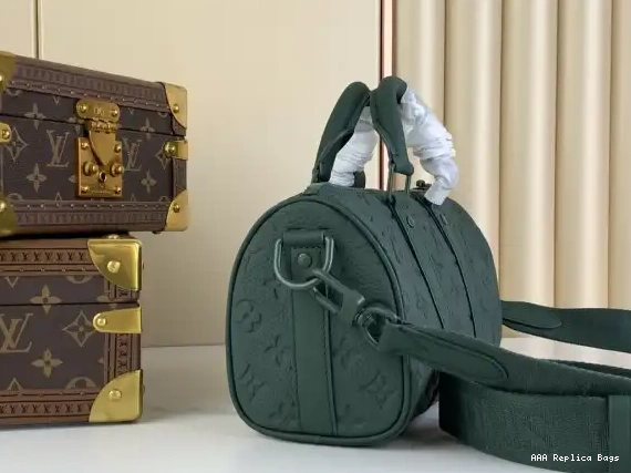 Aaa replica bags Louis SPEEDY Vuitton 25 0219