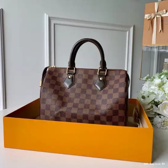 Aaa replica bags Louis Vuitton SPEEDY 25 0221