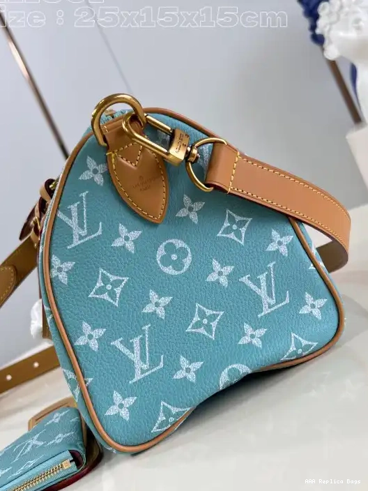 Aaa replica bags SPEEDY Louis 25 Vuitton 0217